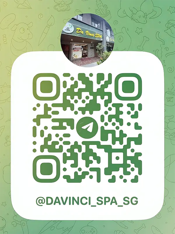 Da Vinci Spa 1118 Serangoon Road