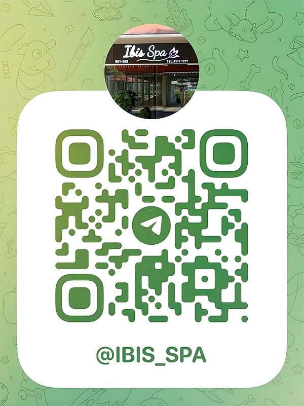 Ibis Spa 551 Bedok North Ave 1